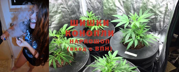 apvp Абаза