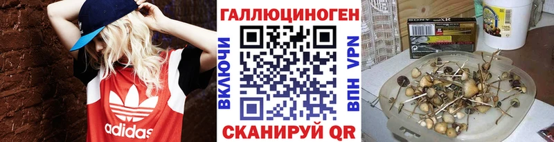Псилоцибиновые грибы мухоморы  Тихорецк 