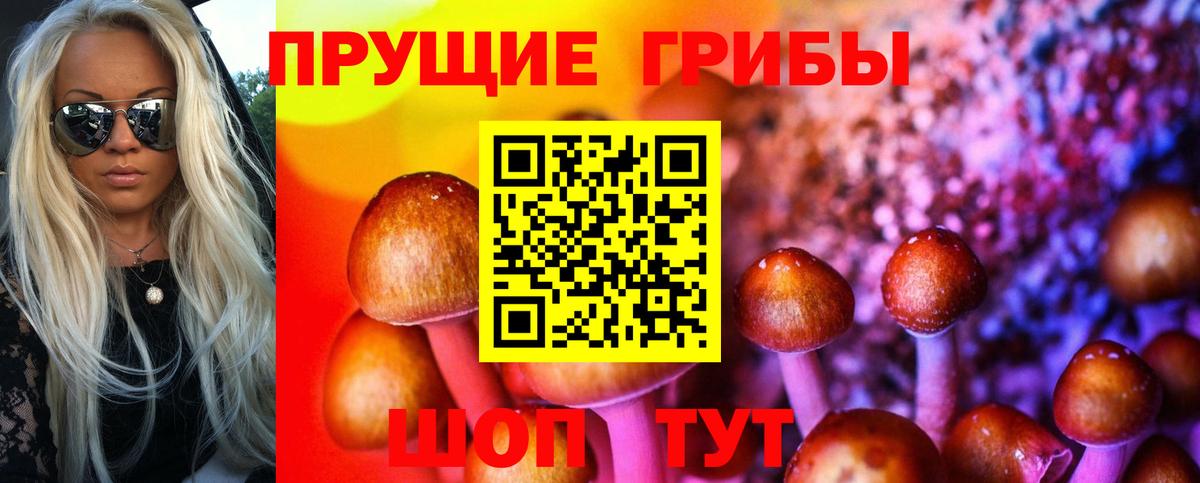 Тихорецк  Галлюциногенные грибы мицелий  Вход с VPN 